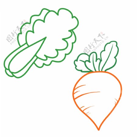 蔬菜白菜萝卜