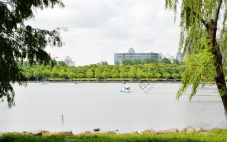 上海世纪公园湖畔风光