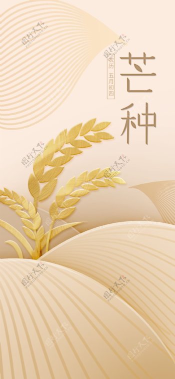 金黄芒种稻田海报