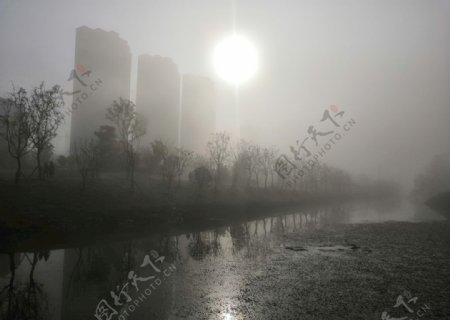 阳光透过大雾照射的公园