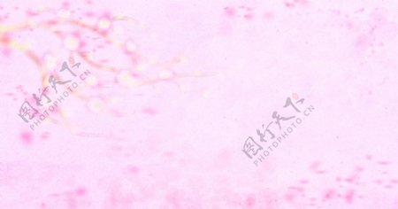粉色梅花纸质背景图