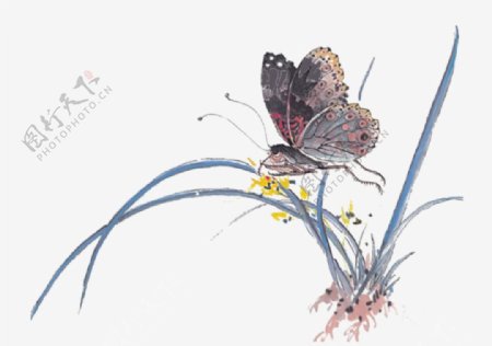 花卉素材元素昆虫海报