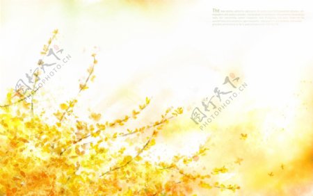 秋季金黄树叶素材