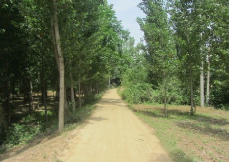 乡村道路