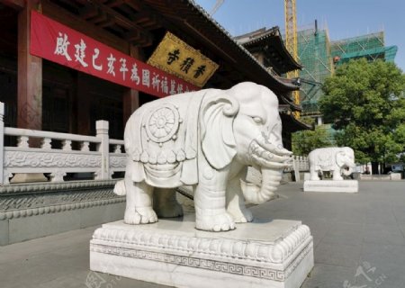 寺庙前的白象