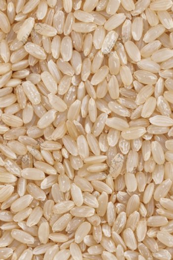 糙米超高清五谷杂粮白糯米