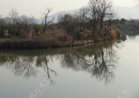 西溪湿地实景拍摄西溪