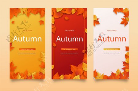 秋季创意海报秋季树叶背景