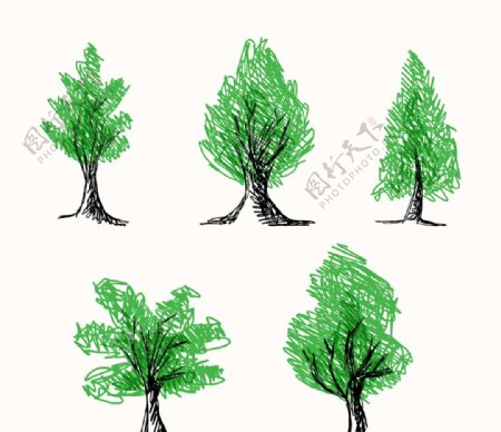 五棵手绘树