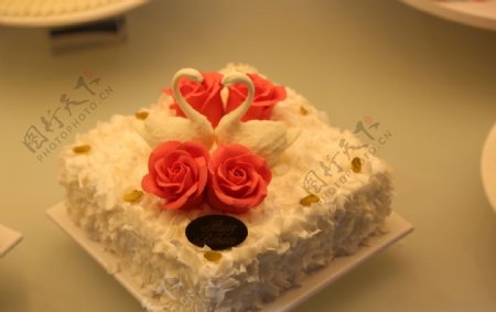 天鹅玫瑰造型蛋糕摄影