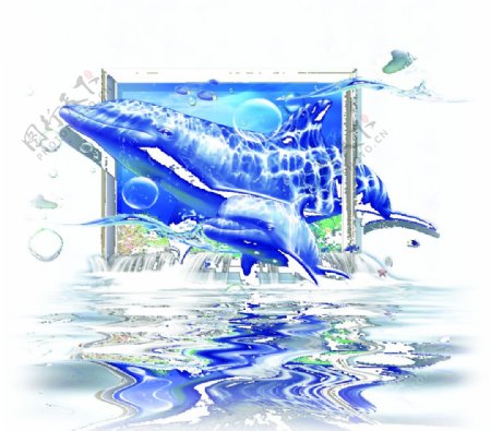 3D海豚