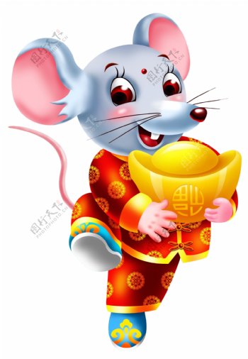 中国红老鼠