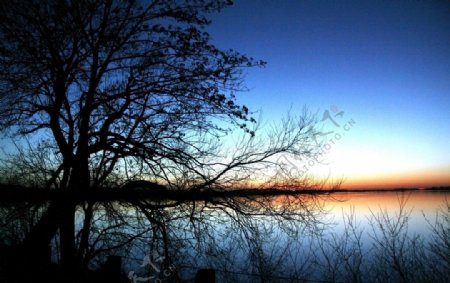 日出里的湖泊与树木