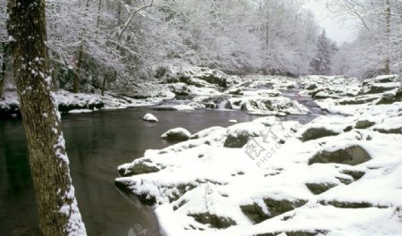 雪景