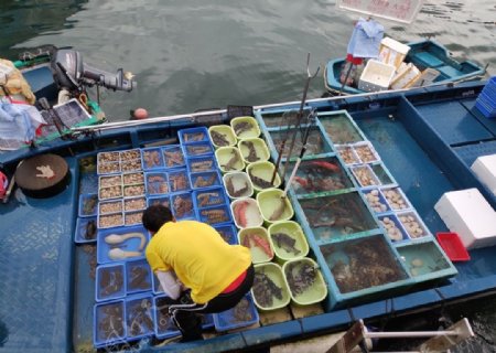 香港西贡码头的渔民卖海鲜