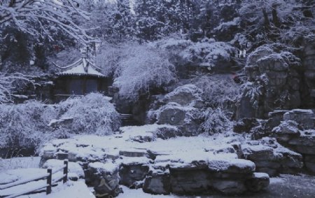 冬日初雪