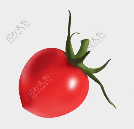小番茄圣女果水果