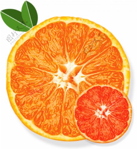 水嫩橙子横切图