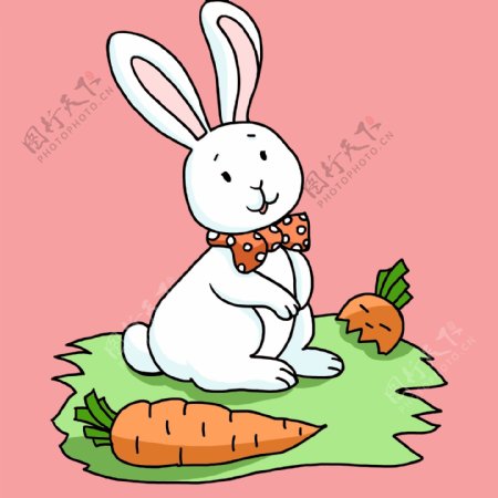 小白兔与胡萝卜