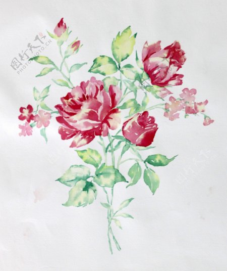 水彩手绘抽象花卉