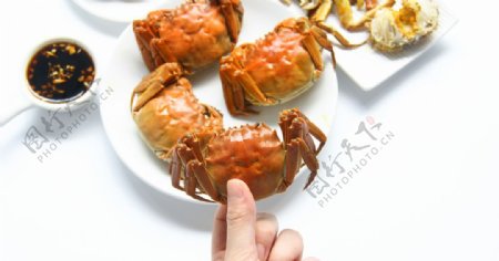 美味的大闸蟹摄影美图