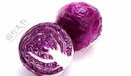 新鲜紫菜