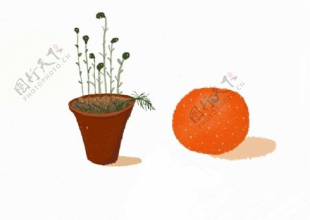 蔬菜植物盆栽插画