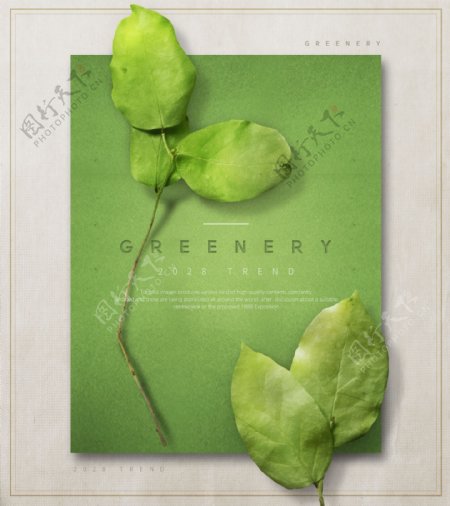 春夏绿色叶子海报