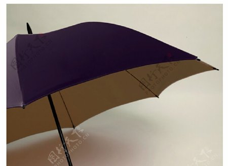 雨伞伞
