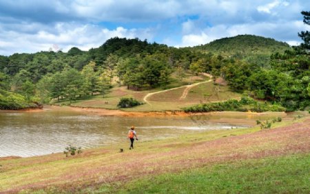 乡村的草地