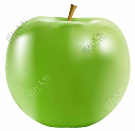 苹果矢量图