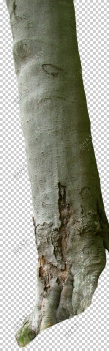 树树木木桩木板树根树
