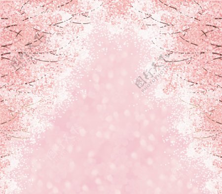 粉色樱花婚礼背景