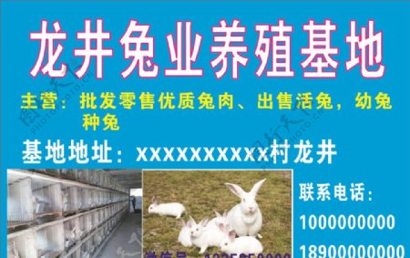 兔子养殖场