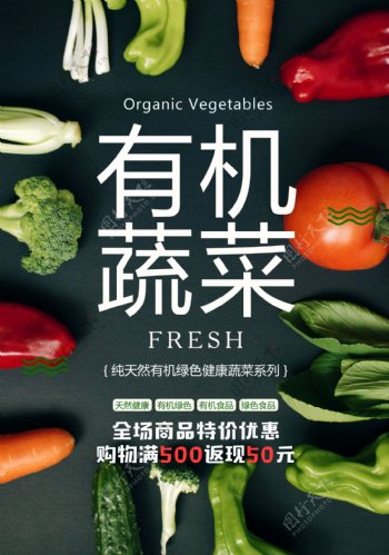 有机蔬菜全场商品特价优惠