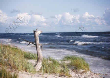 海丹麦海岸波罗的海海滩