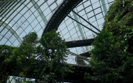 新加坡海滨湾公园温室植物园