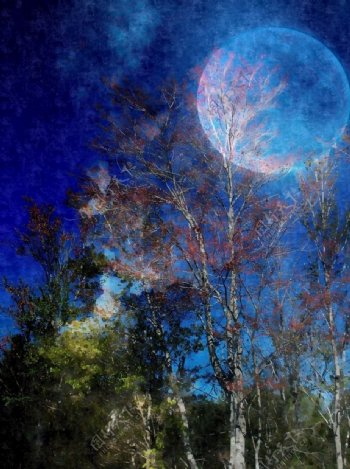 月亮树数字图稿云画