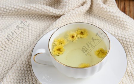 茶道酒水品茶茶H5茶艺H