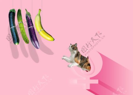 小猫水果香蕉背景