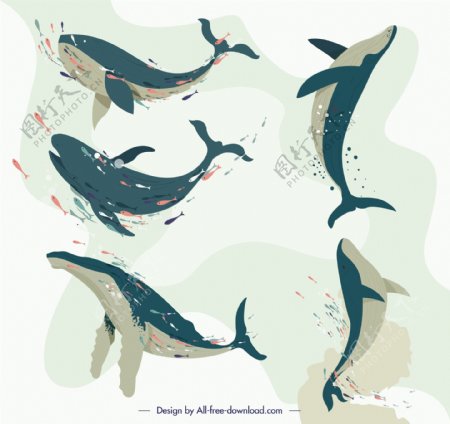 5款创意海洋鲸鱼设计