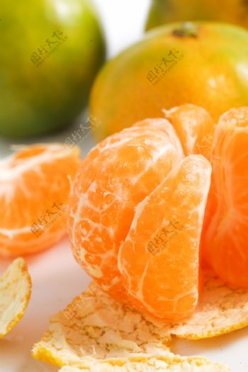 橘子橙子柑橘柚子