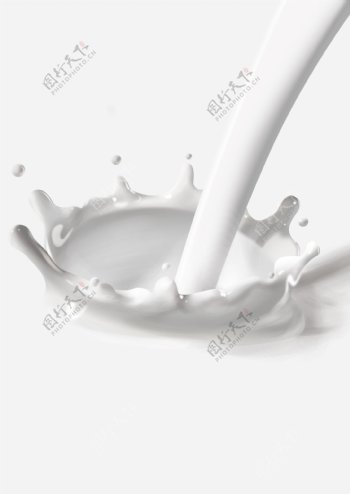 牛奶花