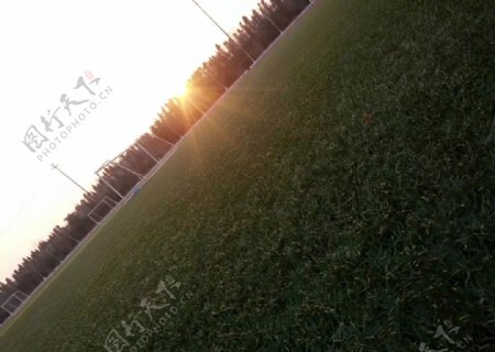 草地上的落日