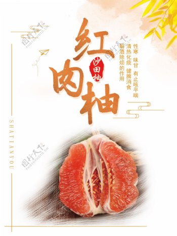 红柚肉沙田柚海报