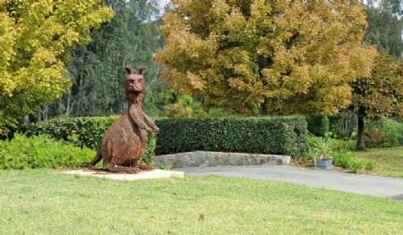 澳大利亚公园里的袋鼠雕像