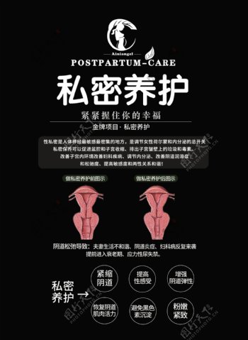 产后保养海报母婴女性生殖