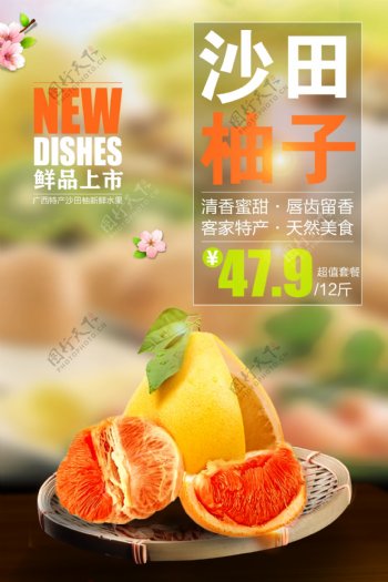 沙田清新红心柚子特产海报