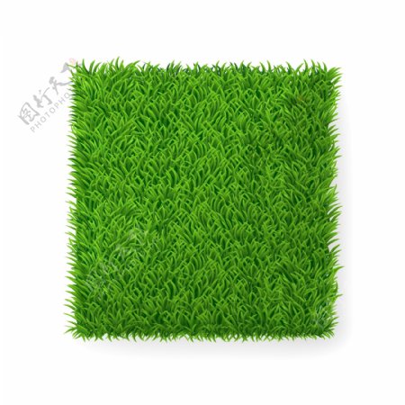 绿色草地草坪