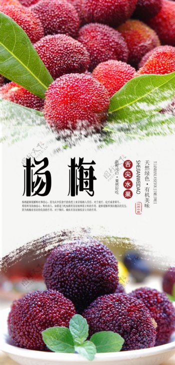 杨梅水果海报